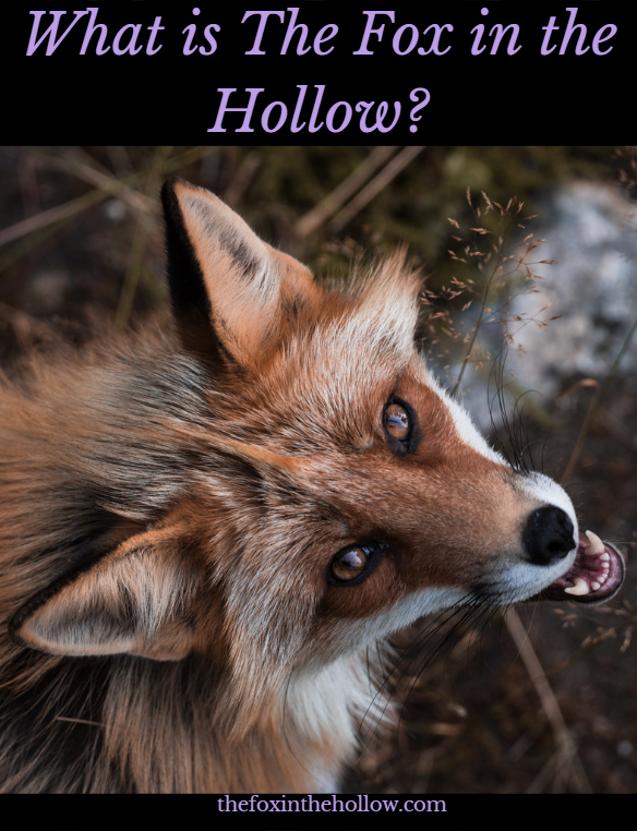 intropostimage intropostimage